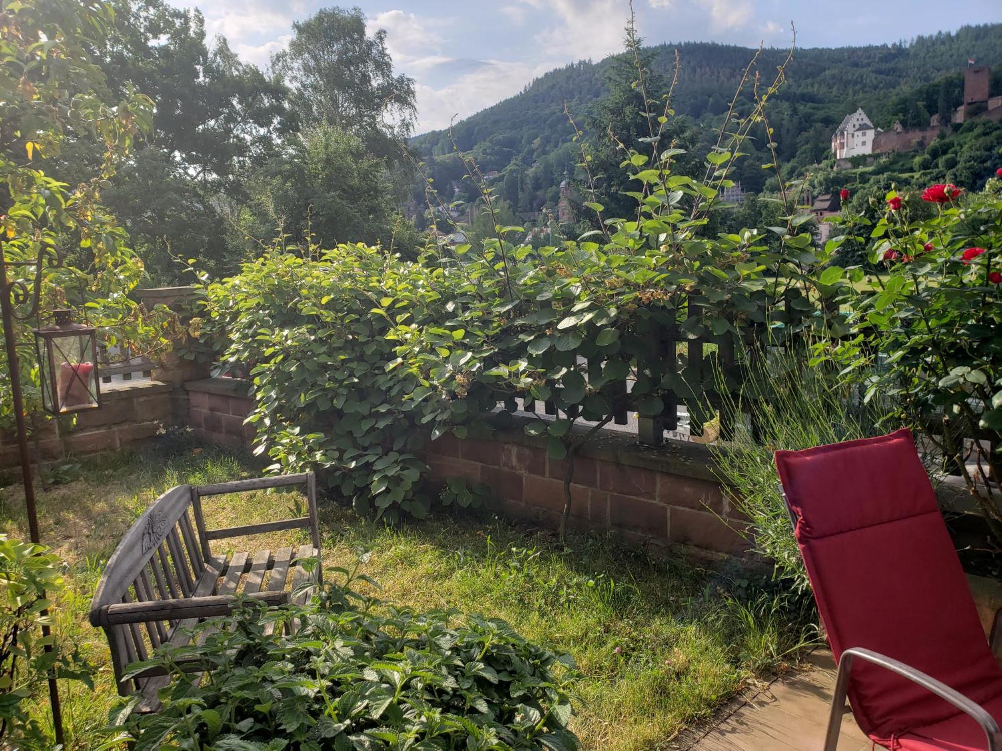 Panorama-Blick Miltenberg, 3 Pers., Zentr., Am Main, Terrasse, Bootverleih, P Exterior photo