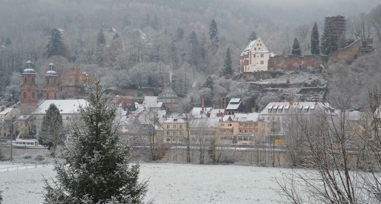Panorama-Blick Miltenberg, 3 Pers., Zentr., Am Main, Terrasse, Bootverleih, P Exterior photo