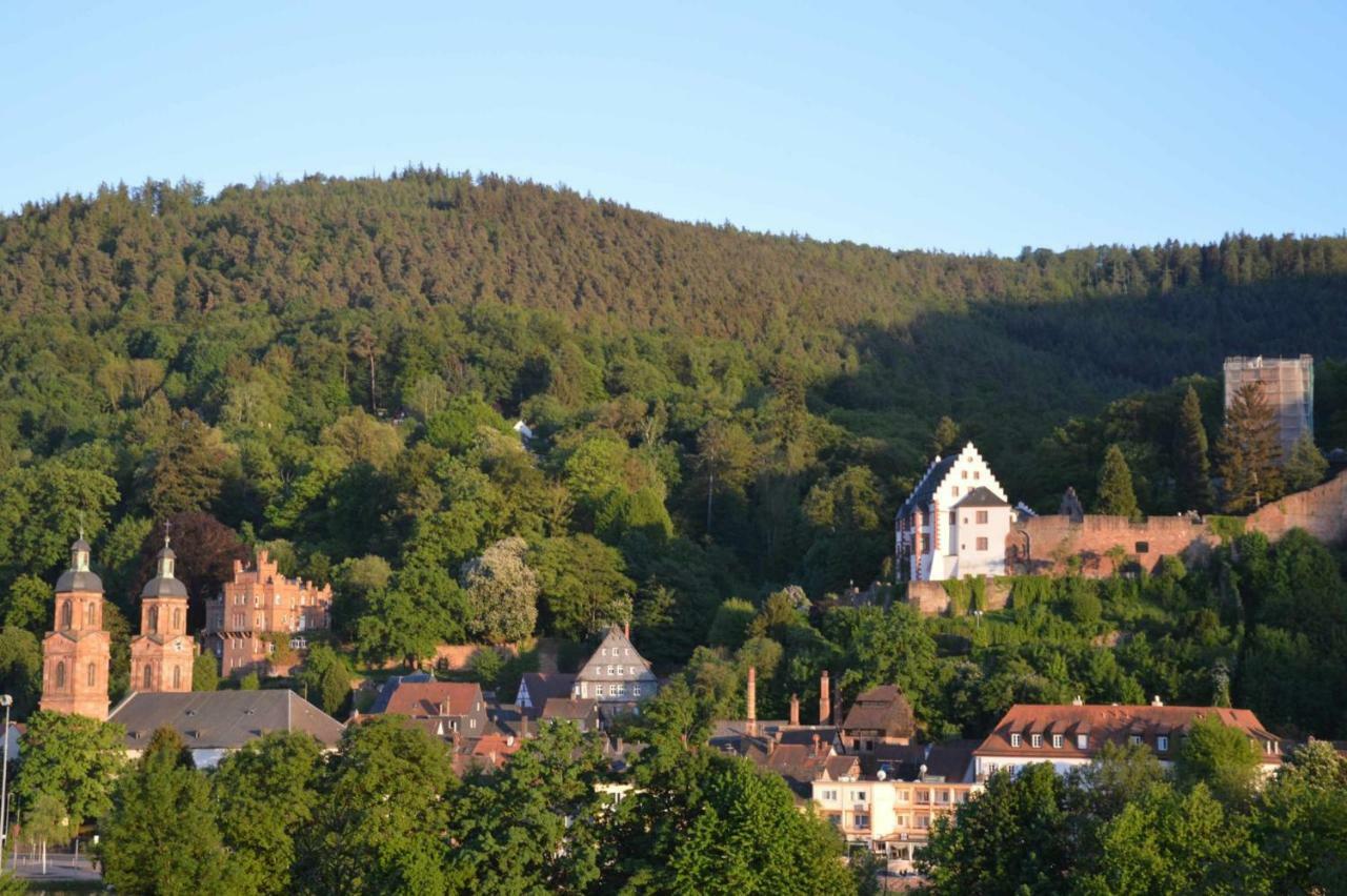 Panorama-Blick Miltenberg, 3 Pers., Zentr., Am Main, Terrasse, Bootverleih, P Exterior photo
