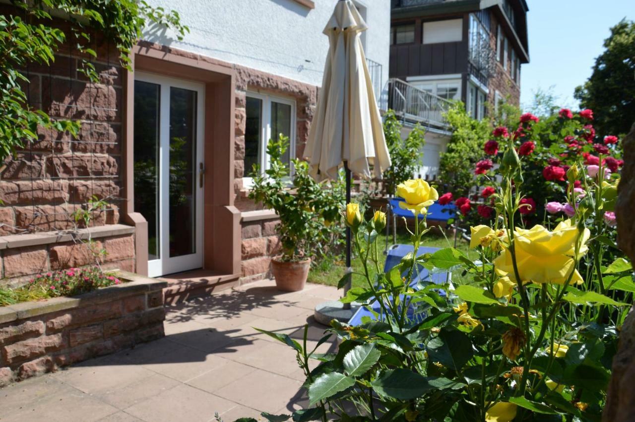 Panorama-Blick Miltenberg, 3 Pers., Zentr., Am Main, Terrasse, Bootverleih, P Exterior photo